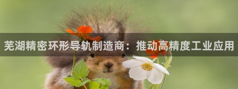 彩神旗下有哪些平台：芜湖精密环形导轨制造商：推动高精度工业应用