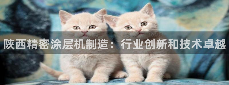 彩神vip购彩：陕西精密涂层机制造：行业创新和技术卓越