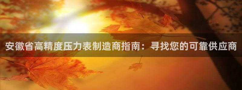 彩神平台能提现吗：安徽省高精度压力表制造商指南：寻找您的可靠供应商