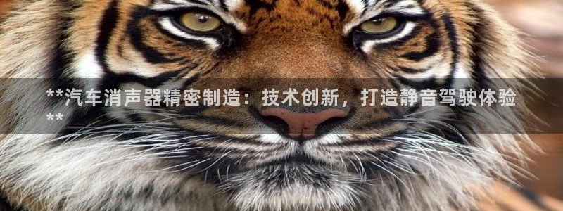 彩神viii官网：**汽车消声器精密制造：技术创新，打造静音驾驶体验
**