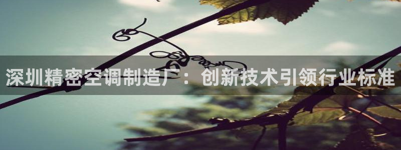 有谁知道彩神争霸的网址：深圳精密空调制造厂：创新技术引领行业标准