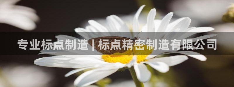 彩神v违法么：专业标点制造 | 标点精密制造有限公司
