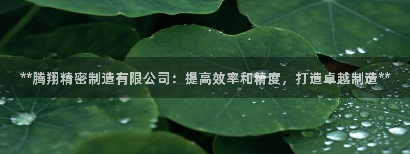 彩神V集团公司：**腾翔精密制造有限公司：提高效率和精度，打造卓越制造**