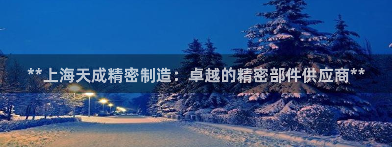 彩神是什么平台的游戏：**上海天成精密制造：卓越的精密部件供应商**