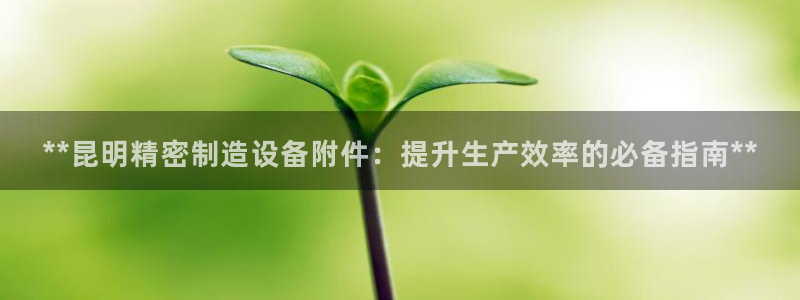彩神输的钱是赌博还是诈骗：**昆明精密制造设备附件：提升生产效率的必备指南**