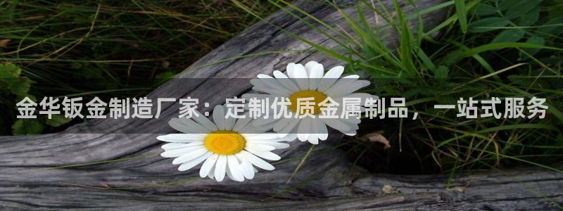 彩神vip购彩大厅下载：金华钣金制造厂家：定制优质金属制品，一站式服务