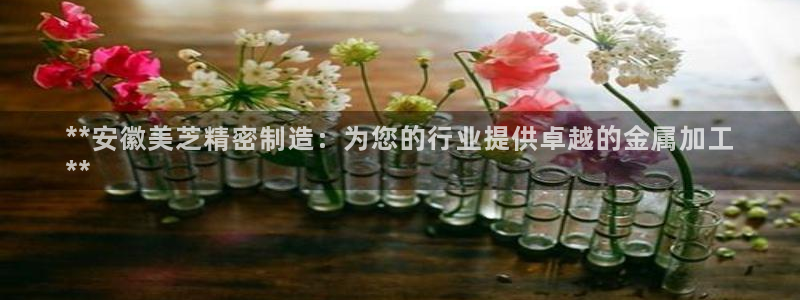 彩神ⅴll用户登录：**安徽美芝精密制造：为您的行业提供卓越的金属加工
**