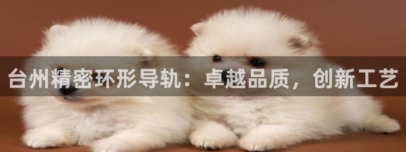彩神客服电话：台州精密环形导轨：卓越品质，创新工艺