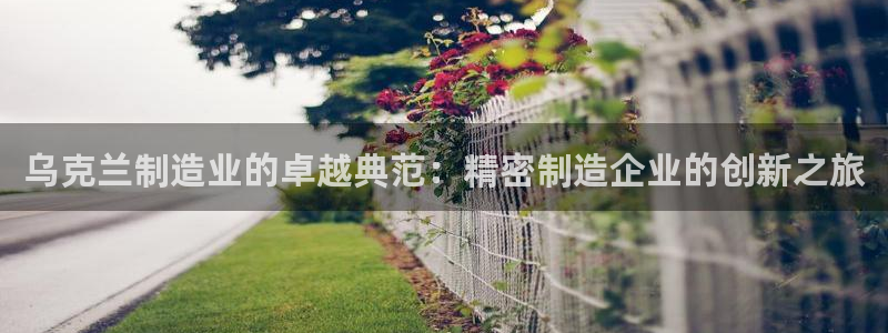 彩神v8平台正规吗知乎：乌克兰制造业的卓越典范：精密制造企业的创新之旅