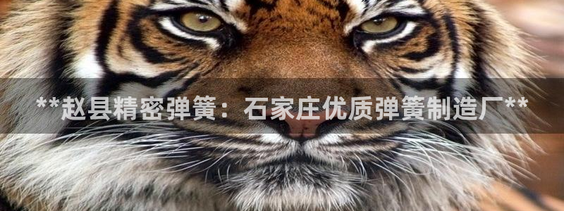 彩神合法吗.是国家认可的吗