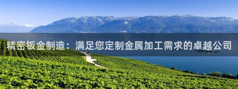 彩神平台注册登录：精密钣金制造：满足您定制金属加工需求的卓越公司