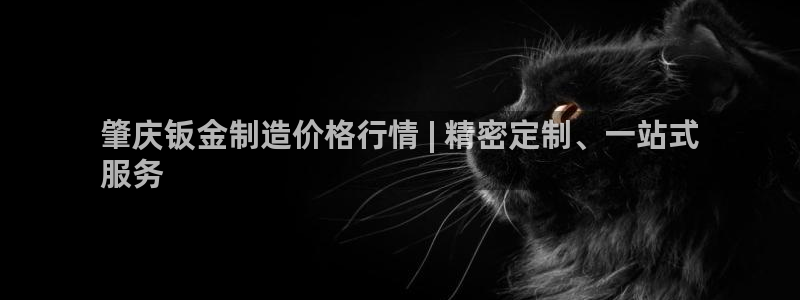 新版彩神v8登录：肇庆钣金制造价格行情 | 精密定制、一站式
服务