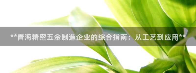 新版彩神v8登录教程：**青海精密五金制造企业的综合指南：从工艺到应用**