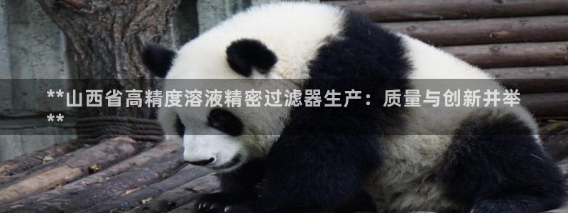 彩神购彩购彩大厅入口v：**山西省高精度溶液精密过滤器生产：质量与创新并举
**