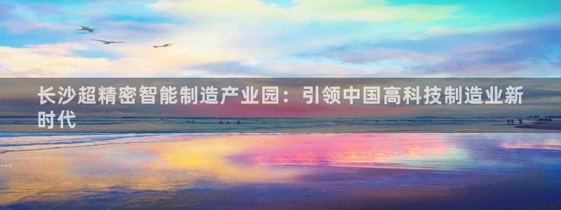 彩神v8购彩大厅登：长沙超精密智能制造产业园：引领中国高科技制造业新
时代