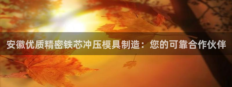 彩神v8下载网址：安徽优质精密铁芯冲压模具制造：您的可靠合作伙伴