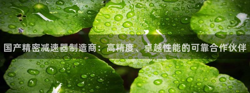 彩神v8iii：国产精密减速器制造商：高精度、卓越性能的可靠合作伙伴
