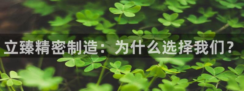 彩神 好 平台：立臻精密制造：为什么选择我们？