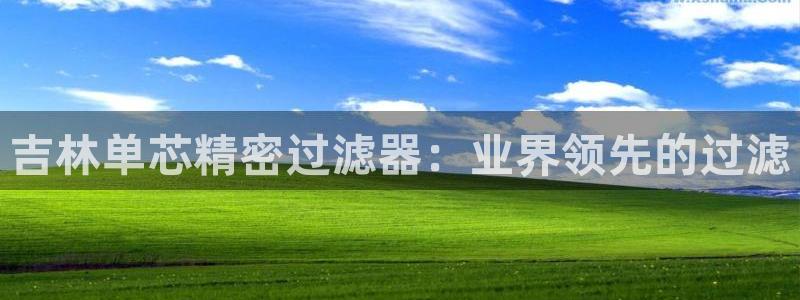 彩神ix平台：吉林单芯精密过滤器：业界领先的过滤