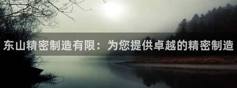 彩神iv争霸购彩大厅：东山精密制造有限：为您提供卓越的精密制造