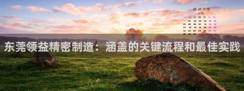 彩神v|：东莞领益精密制造：涵盖的关键流程和最佳实践