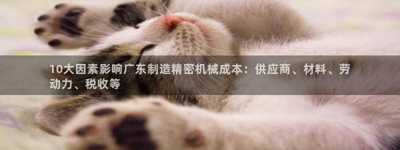 彩神v8下载app：10大因素影响广东制造精密机械成本：供应商、材料、劳
动力、税收等