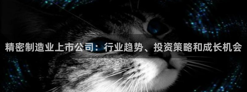 彩神x平台靠什么盈利：精密制造业上市公司：行业趋势、投资策略和成长机会