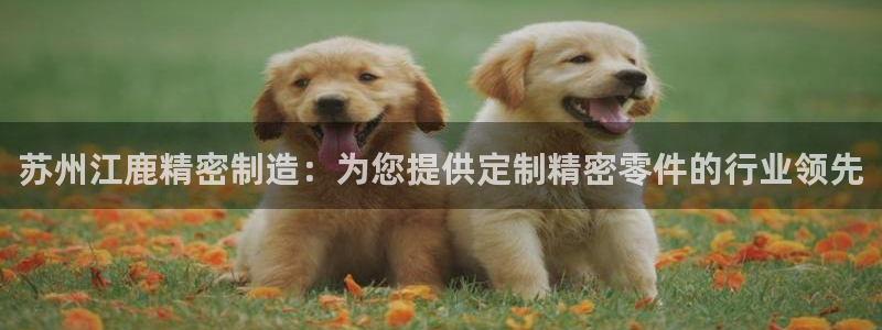 彩神viii官网：苏州江鹿精密制造：为您提供定制精密零件的行业领先