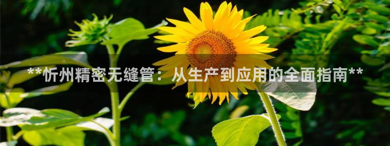 彩神天下专家专栏：**忻州精密无缝管：从生产到应用的全面指南**