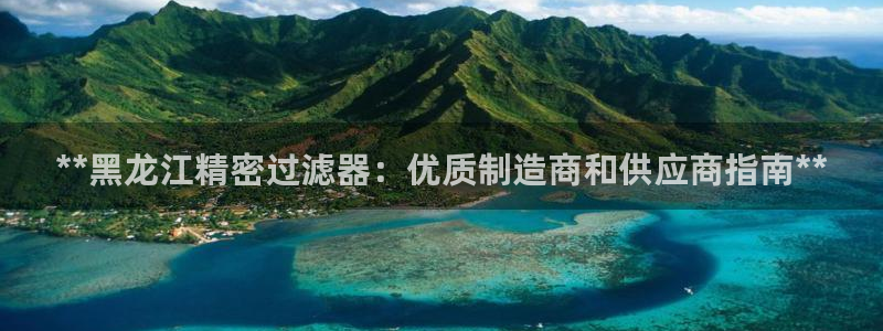 彩神v争霸有限公司：**黑龙江精密过滤器：优质制造商和供应商指南**