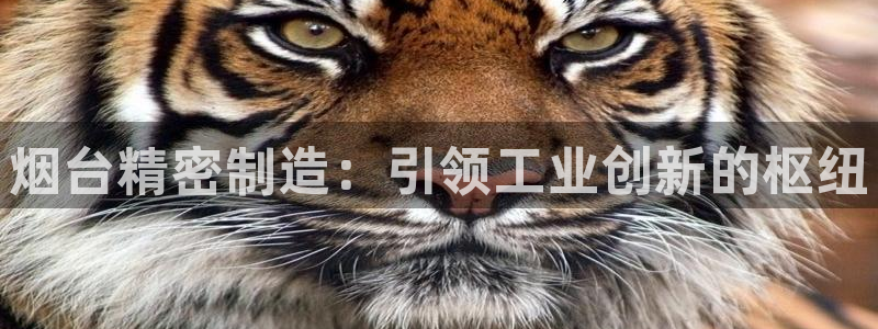 彩神vip官方网站：烟台精密制造：引领工业创新的枢纽