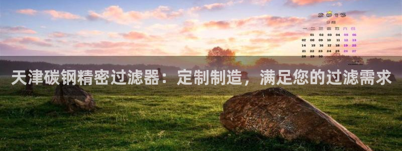 彩神赢了钱登录不上去：天津碳钢精密过滤器：定制制造，满足您的过滤需求