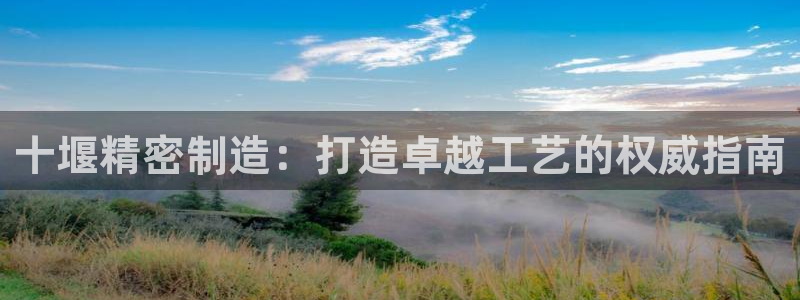 下载彩神通关注金码：十堰精密制造：打造卓越工艺的权威指南
