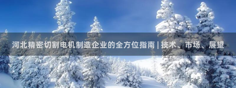 彩神是怎样一个平台赚钱的：河北精密切割电机制造企业的全方位指南 | 技术、市场、展望