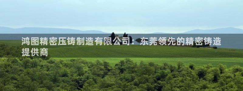 彩神viii官网：鸿图精密压铸制造有限公司：东莞领先的精密铸造
提供商