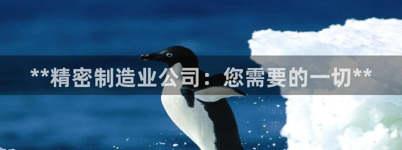 彩神8官网版：**精密制造业公司：您需要的一切**