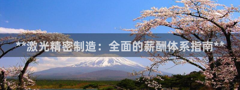 彩神趣购彩用户注册：**激光精密制造：全面的薪酬体系指南**