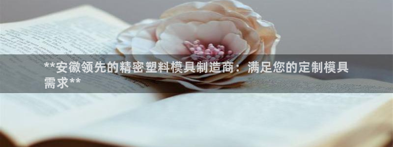 彩神vii购彩l心：**安徽领先的精密塑料模具制造商：满足您的定制模具
需求**