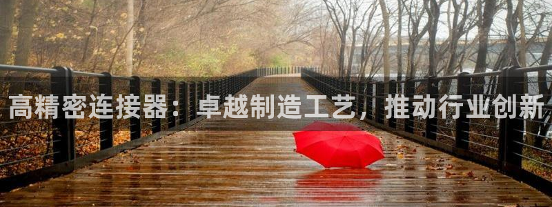 大发彩神官网下载：高精密连接器：卓越制造工艺，推动行业创新