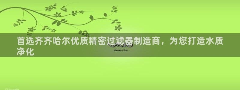 彩神v8是真的挣钱吗：首选齐齐哈尔优质精密过滤器制造商，为您打造水质
净化