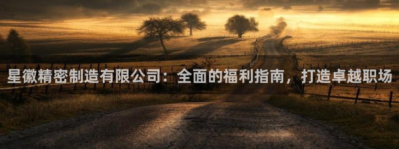 彩神ix官网：星徽精密制造有限公司：全面的福利指南，打造卓越职场