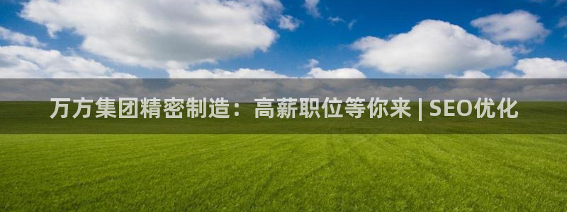彩神vll购彩大厅：万方集团精密制造：高薪职位等你来 | SEO优化