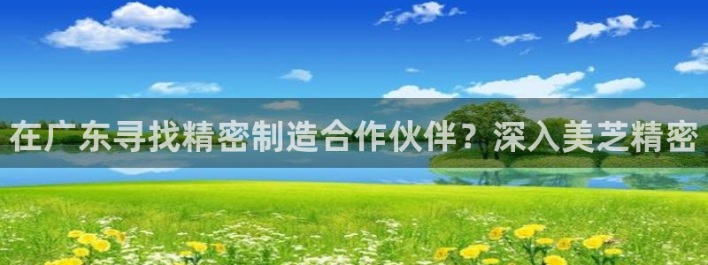 彩神v8客户端：在广东寻找精密制造合作伙伴？深入美芝精密