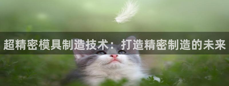 彩神v8下载app：超精密模具制造技术：打造精密制造的未来