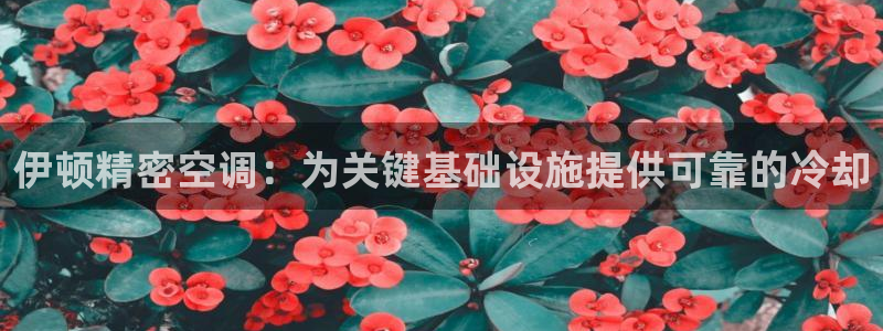 彩神v破解版：伊顿精密空调：为关键基础设施提供可靠的冷却