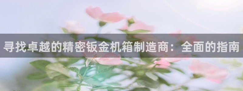 彩神vlll官网网上购彩：寻找卓越的精密钣金机箱制造商：全面的指南