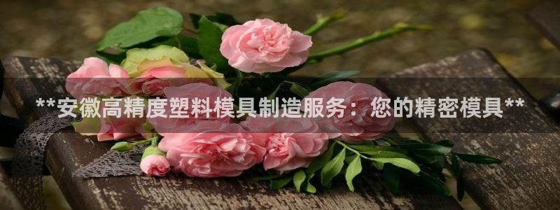 彩神app赚钱是真是假：**安徽高精度塑料模具制造服务：您的精密模具**