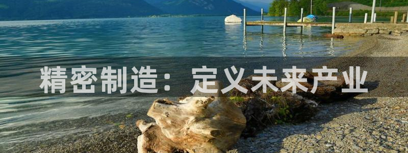 彩神盈利图片：精密制造：定义未来产业