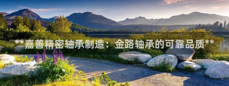 彩神购彩-购彩大厅入口娱乐首选：**嘉善精密轴承制造：金路轴承的可靠品质**
