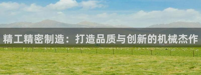 彩神v8是一个什么平台啊：精工精密制造：打造品质与创新的机械杰作